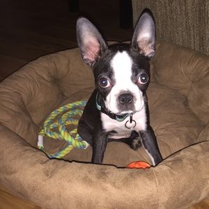 Meet your Posher, Dani